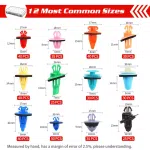 C0355 421Pcs Fixed Jacket for Automobile Fender 12 Most Common Sizes Automotive  Retainer Clips with Fastener Remover